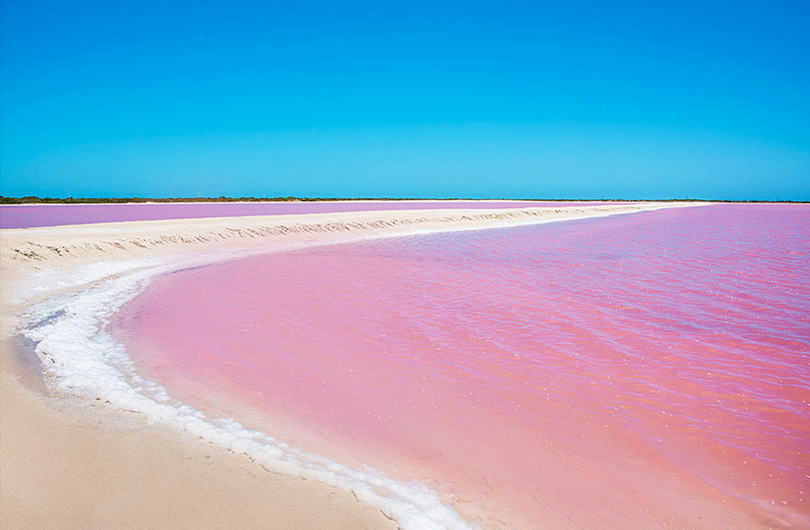 Las Coloradas and Ría Lagartos, a different day